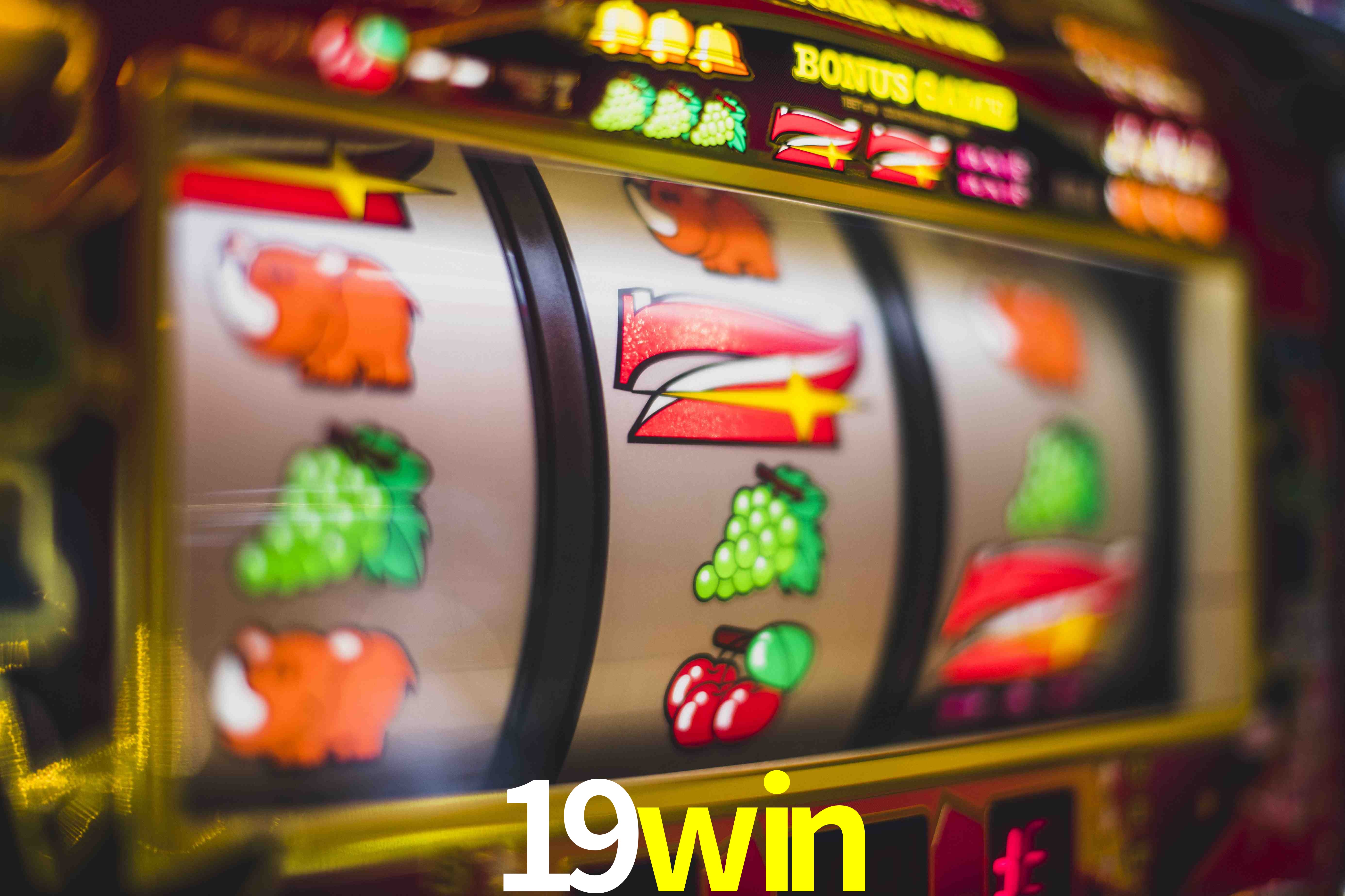 Sports Statistics 19win